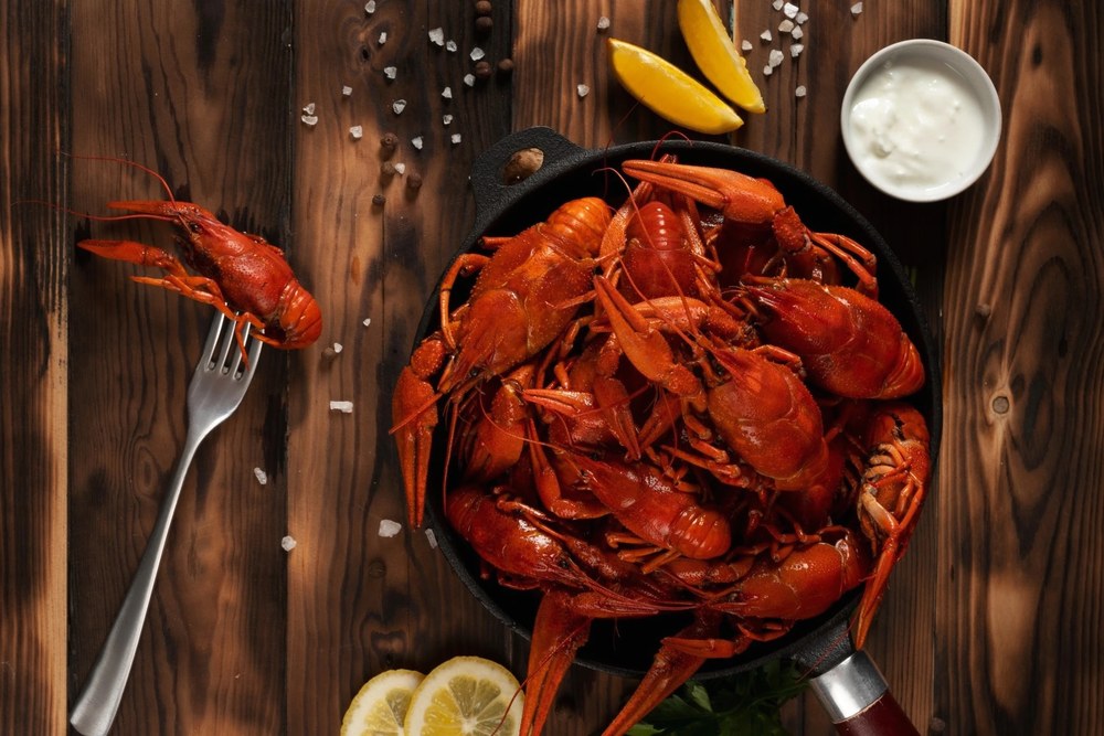 Где и каких раков покупать оптом в 2026 году